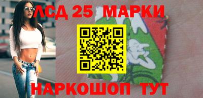 гидропоника Жуковский