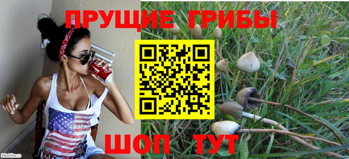 Галлюциногенные грибы мицелий  Псилоцибиновые грибы Cubensis  Вход с VPN  Луга 